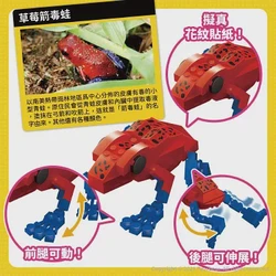 南美红龙毒雾—一场我亲眼见过的荒诞与真实