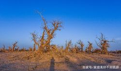 沙漠石林中的黑色羽毛｜自然的奇迹还是时间的错觉？