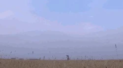 撒哈拉沙漠的神秘之谜·反向指南针的离奇传送