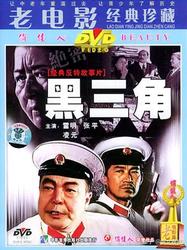 孟加拉湾的暗影—黑三角事件背后的人性深渊