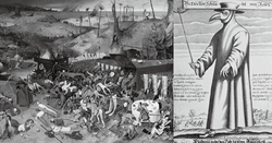 当夜幕降临，黑龙瘟疫的阴影笼罩大地？