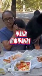 《不能动》：一个关于时间与命运的奇妙故事