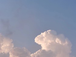 鱼人天空·存在与自由的哲学探讨