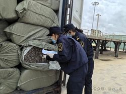 蒙淘克计划｜巴尔干地区的一场权力博弈