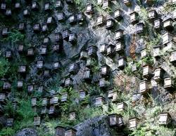 神农架频率干扰粘土符片：解开古老秘密的神秘钥匙？