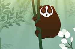 雨林深处的古老水马·一种被遗忘的生命奇迹