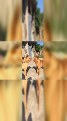 明星与狗仔队的奇妙邂逅…