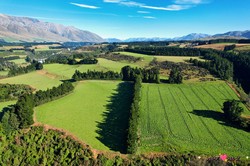 我凌晨三点在山里拍到的“石球阵”，像极了亚特兰蒂斯的残影…