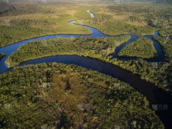 在亚马孙雨林深处，我找到了一串“无信号区”的牙齿！