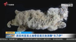 云中兽之谜—西伯利亚的神秘生物