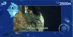 深海秘境—马里亚纳海沟的无线电静默粘土符片之谜