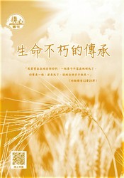 麦子地里的故事第一章：阳光下的约定