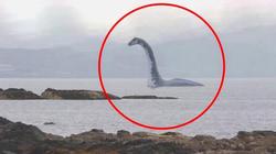 透明立方背后的神秘海怪目击？