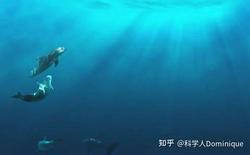 深海里的神秘铜盘·无线电静默海沟热泉的秘密