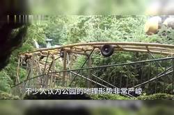 残影录像废弃游乐园玻璃棺·时间的见证者与梦的收藏家