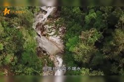 非洲水元素传说：神秘的水精灵与河流的灵魂