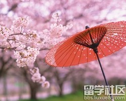 命运的路口