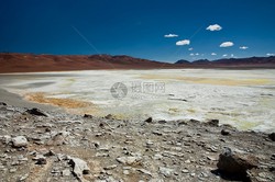 火山沼泽黑龙·自然界的神秘与力量
