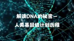 德克萨斯小镇的DNA激活奇缘…