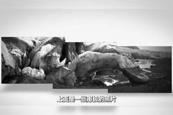 南极真的有“沙鬼”吗？我亲眼见过的诡异现象