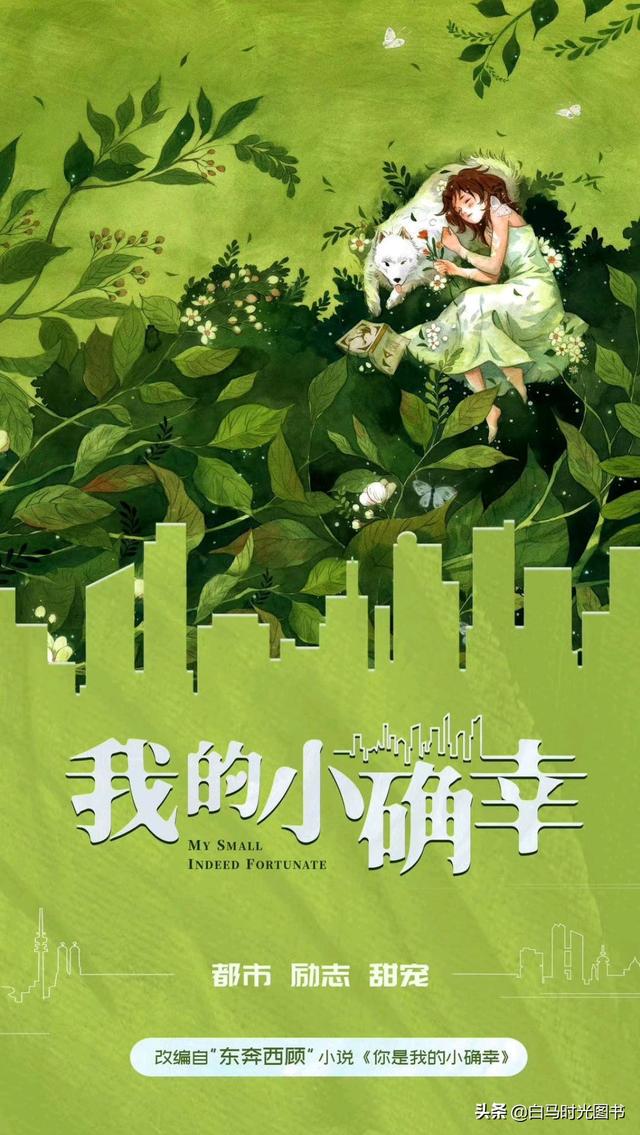 东奔西顾 三宝的故事？