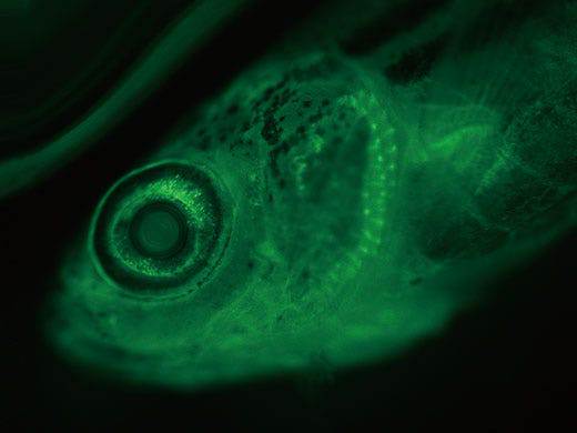 磁异常带｜未知世界的奇异镜像