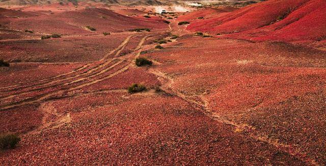 罗布泊的潮汐倒流与骨骸残迹！