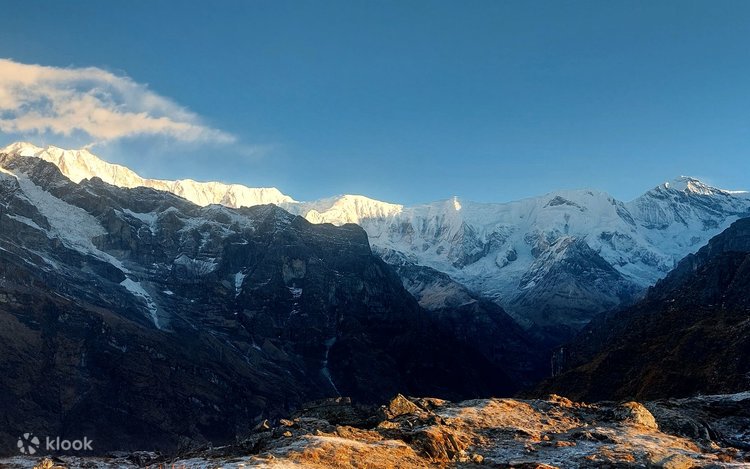 神秘的夜行者丨喜马拉雅人鱼的传说与现实交织