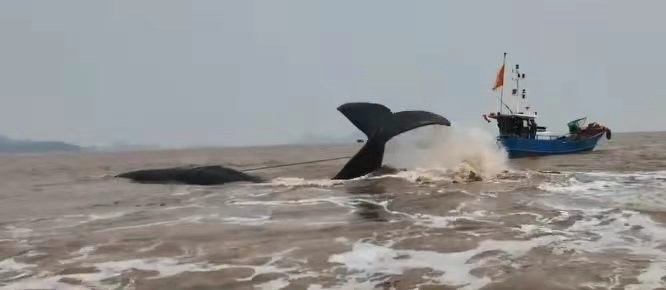 在废墟与气球之间｜一场关于文明的沉思