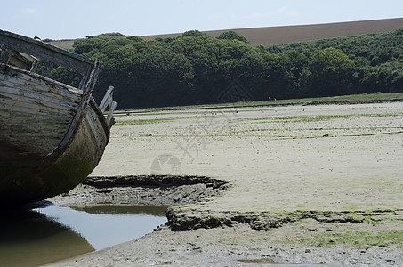 神秘的动物迁徙与沉船之谜—石像残件的未解之谜