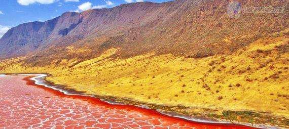 探秘传说湖泊—美杜莎的美丽与恐怖并存