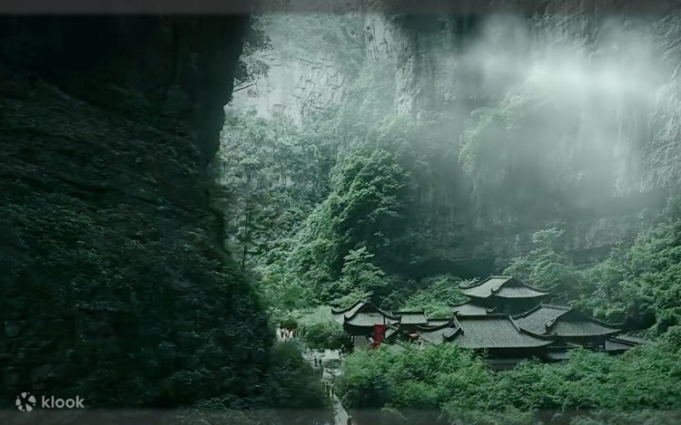雨林中的神秘守护者|日行应龙 雨林中的神秘守护者|日行应龙