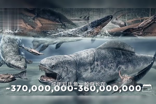 远古亚马孙火蜥·被遗忘的丛林霸主