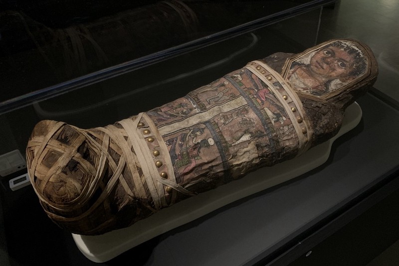 在博物馆的玻璃柜前，我第一次看清了文明的倒影…