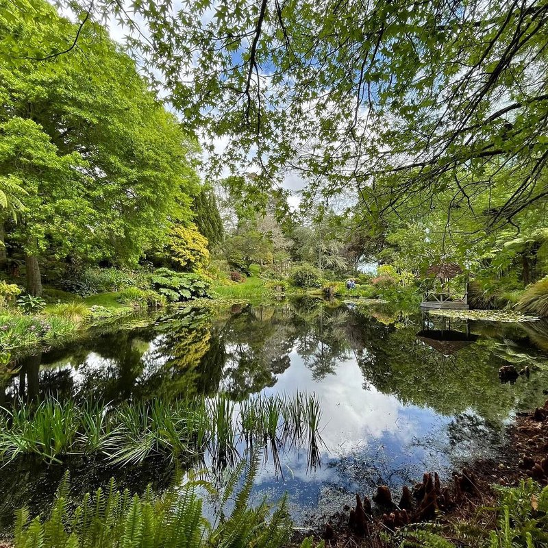 沼泽深处的低语：岩石巨人的秘密