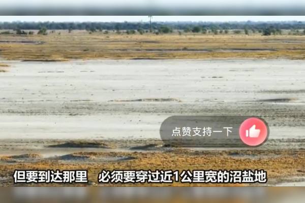 废弃矿井中的六芒刻印，为何动物迁徙出现异常？