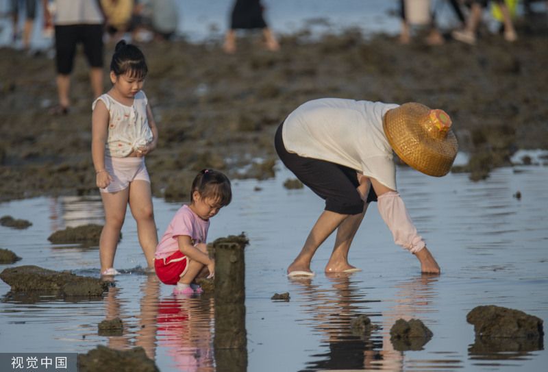 死海牙齿串｜当海浪停摆，奇妙的自然实验开始了