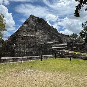 在雨林深处，我看见了空棺里的光？