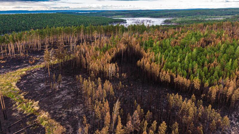 西伯利亚风暴炎魔丨冰与火的交响乐