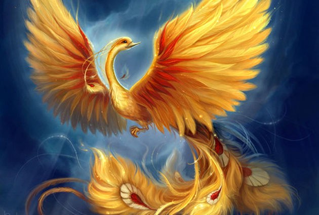 地中海的风里，藏着一只不肯飞走的凤凰…