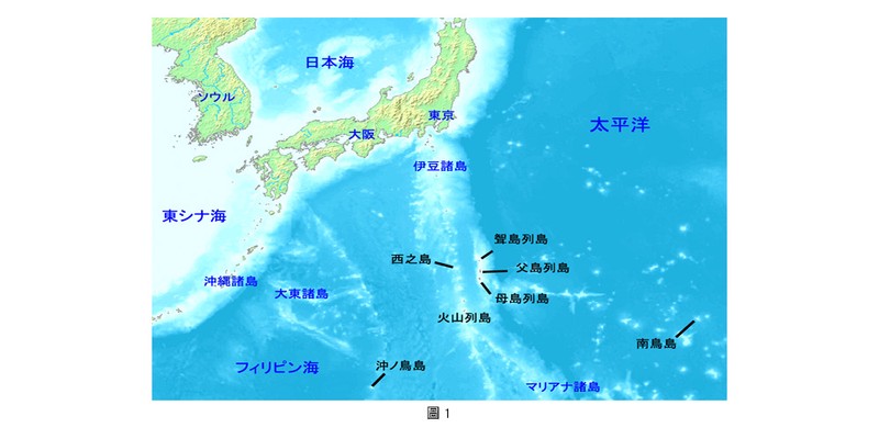 深海土元素占卜|在泥土的呼吸里读懂命运的低语 深海土元素占卜|在泥土的呼吸里读懂命运的低语