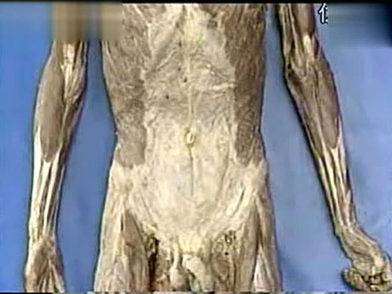 那晚的电脑屏幕亮着，我看见了不该看见的东西…