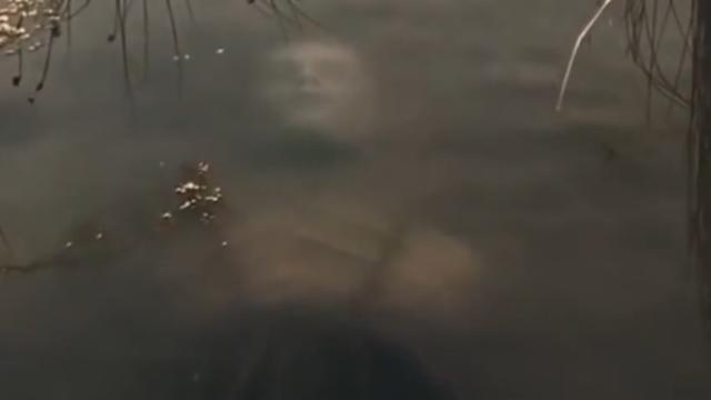 湖光山色下的神秘航海吸血鬼｜一场跨越时空的奇幻之旅