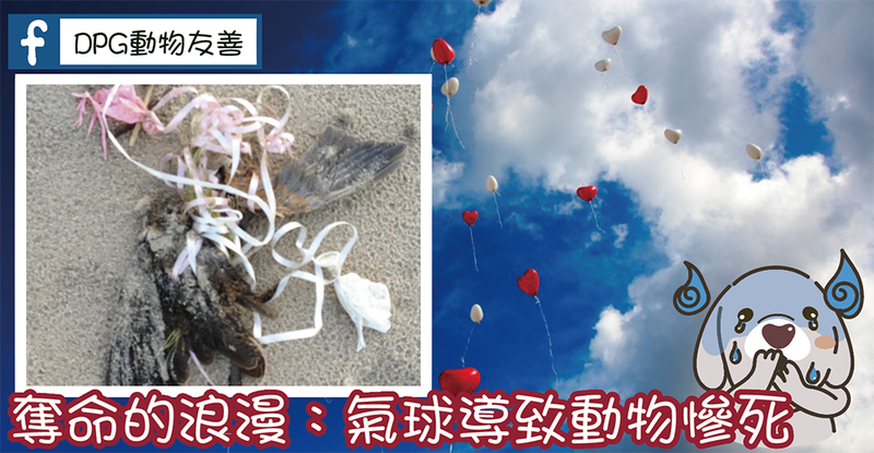 百慕大三角之谜与动物迁徙异常—一场跨越时空的自然对话