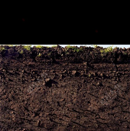 泥土里的秘密丨那些神秘莫测的土壤图案