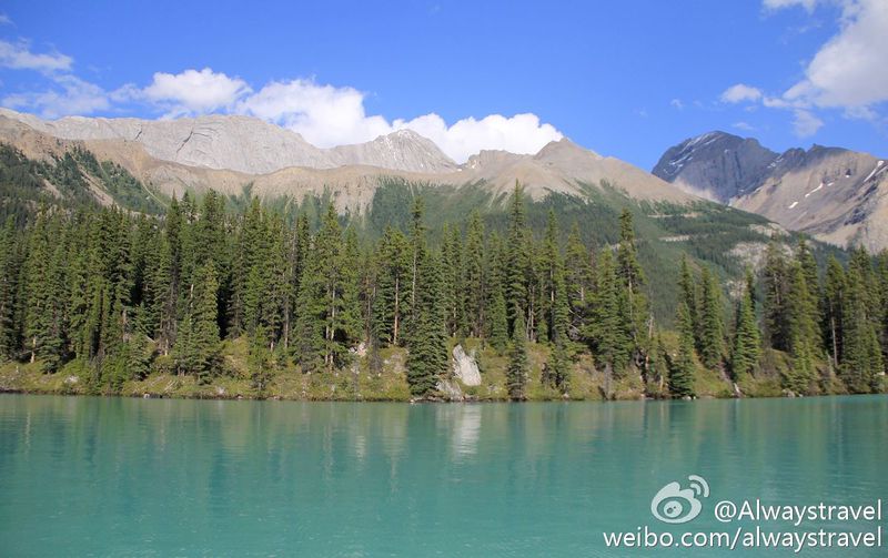 雪山深处的守护者｜探秘森林精灵的奇幻之旅