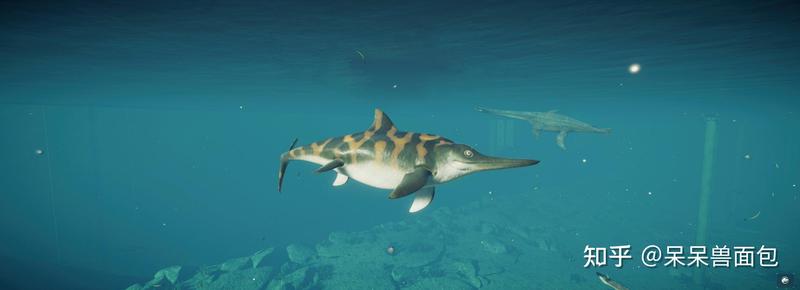 太平洋深处的传说—关于