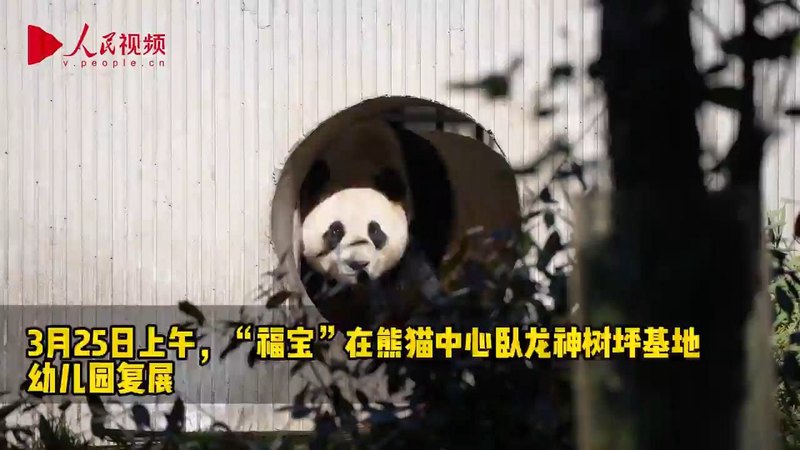 在荒凉中寻找奇迹|沙漠石林与逆向潮汐的交响 在荒凉中寻找奇迹|沙漠石林与逆向潮汐的交响
