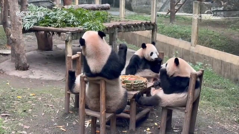 雪夜里的熊与两个年轻人…