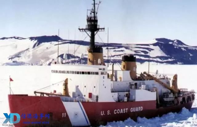 深海里的“海藻精”｜为什么北极海龙能治愈我的精神内耗